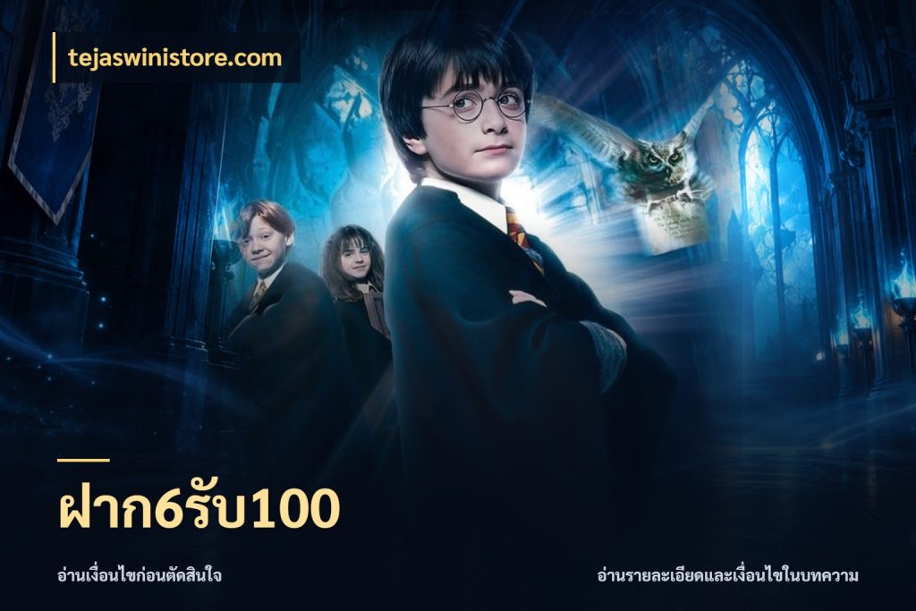 ฝาก6รับ100 tejaswinistore.com สนุกกับตัวเลือกโปรในสไตล์ของคุณ